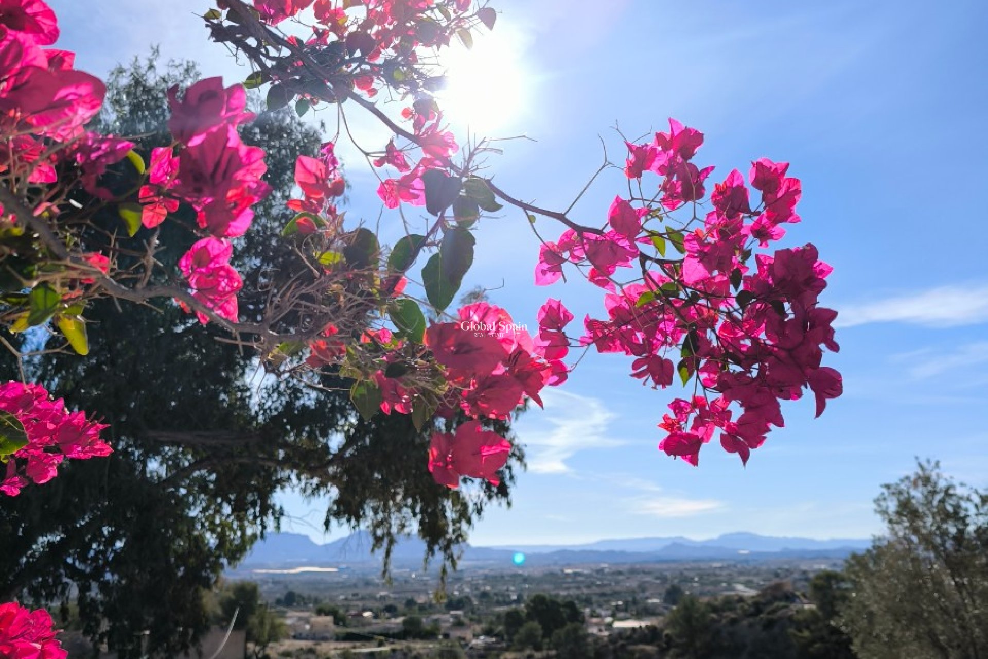 Odsprzedaż - DOM -
FORTUNA - Inland