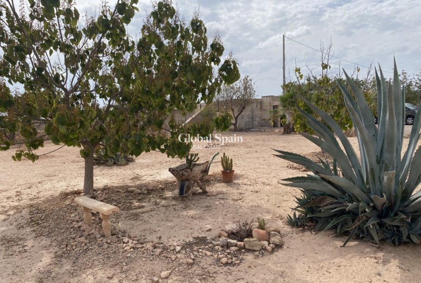 Odsprzedaż - DOM -
FUENTE ÁLAMO DE MURCIA - Inland