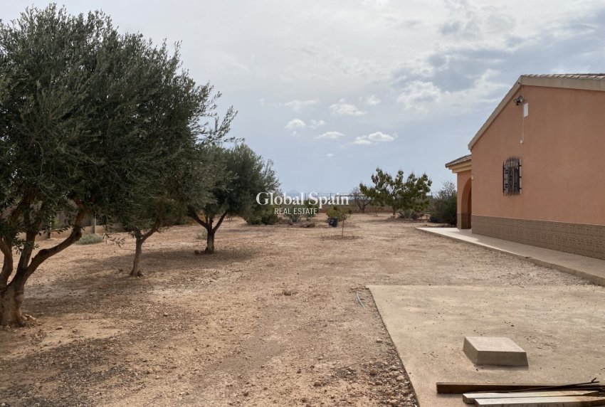 Odsprzedaż - DOM -
FUENTE ÁLAMO DE MURCIA - Inland