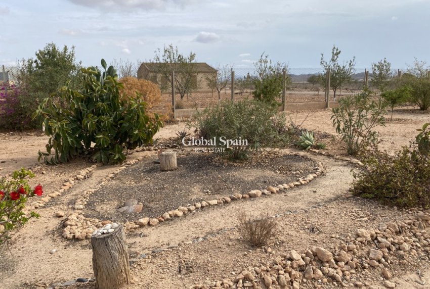 Odsprzedaż - DOM -
FUENTE ÁLAMO DE MURCIA - Inland