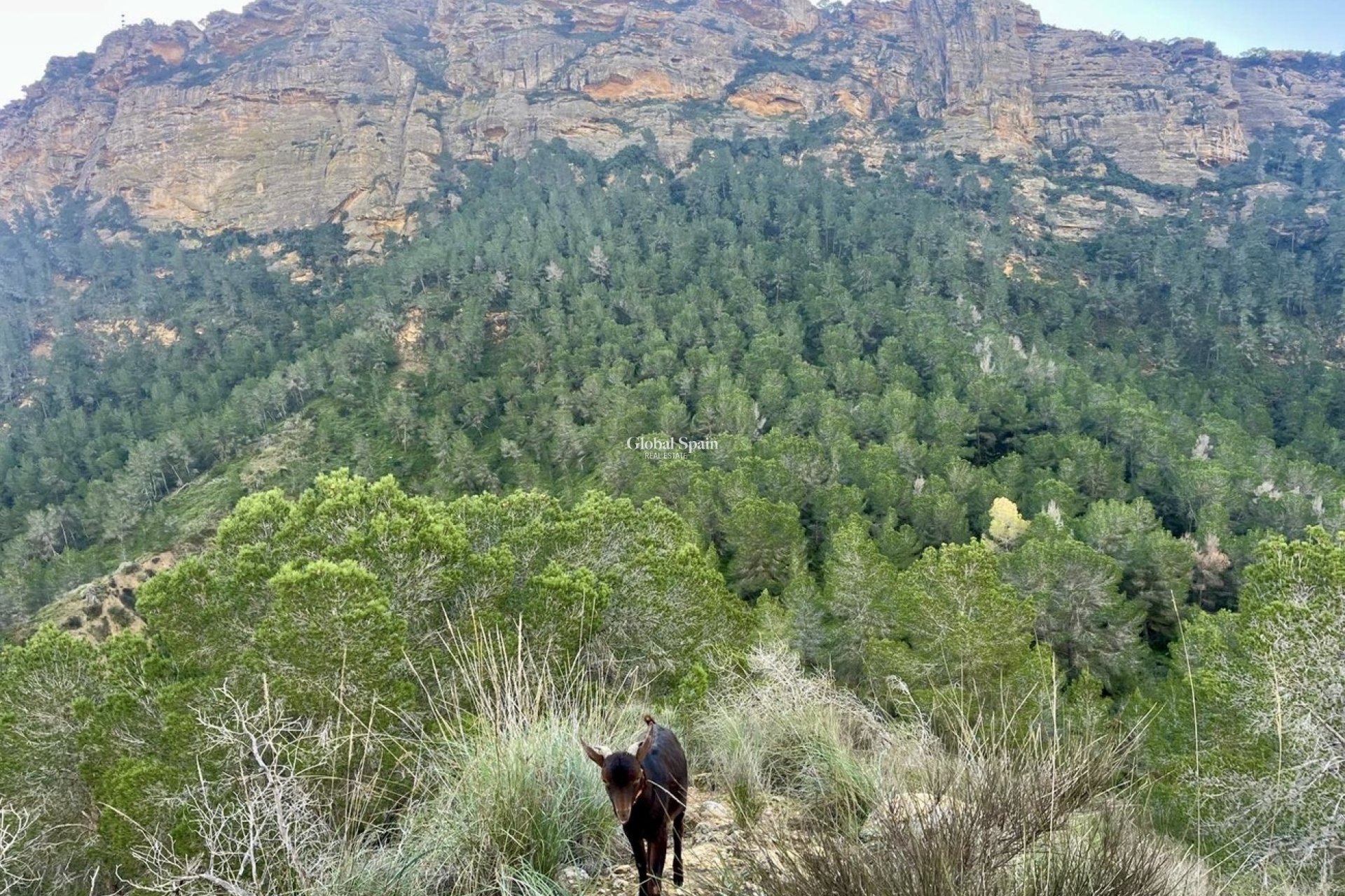 Odsprzedaż - DOM -
GEA Y TRUYOLS - Sierra de Columbares Natural Park