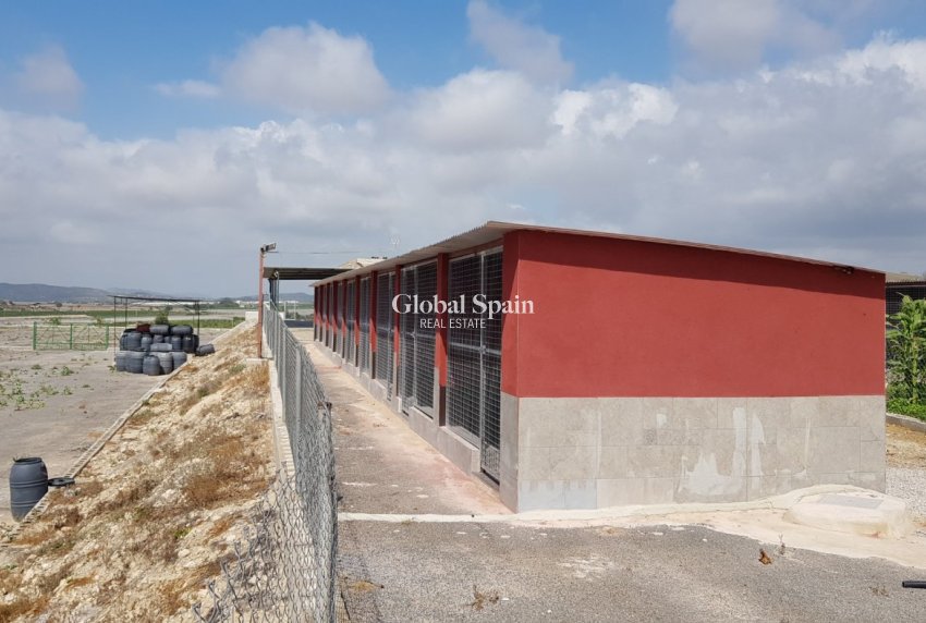 Odsprzedaż - DOM -
LOS MONTESINOS