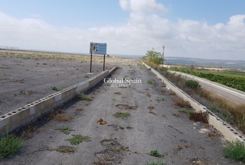 Odsprzedaż - DOM -
LOS MONTESINOS