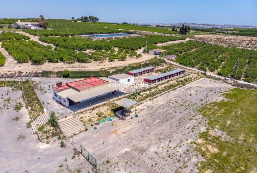 Odsprzedaż - DOM -
LOS MONTESINOS