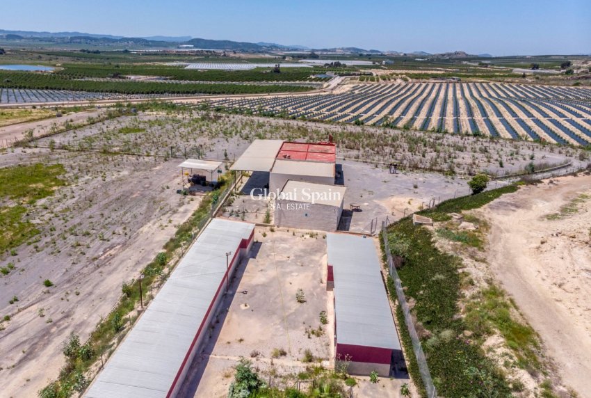 Odsprzedaż - DOM -
LOS MONTESINOS