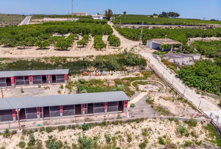 Odsprzedaż - DOM -
LOS MONTESINOS