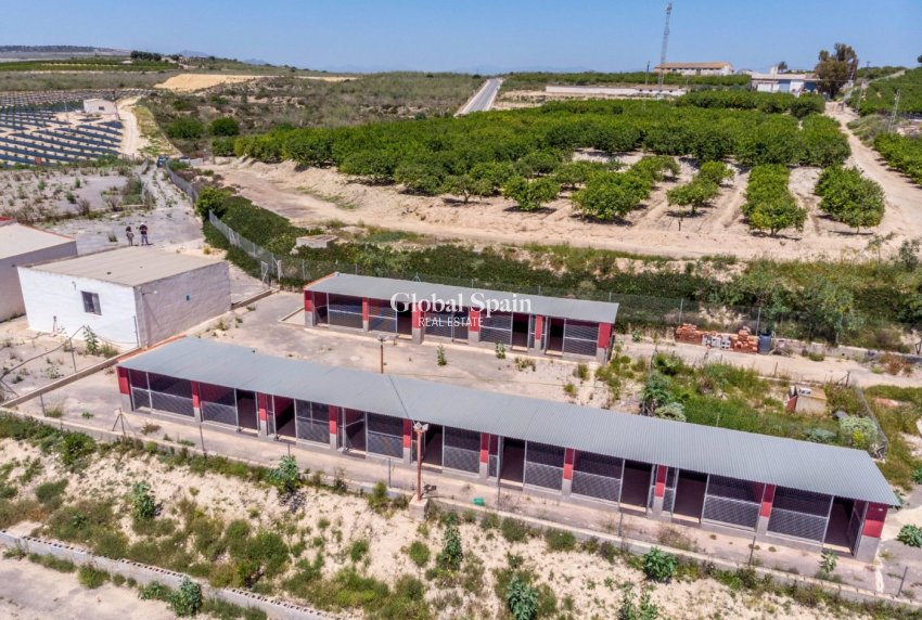 Odsprzedaż - DOM -
LOS MONTESINOS