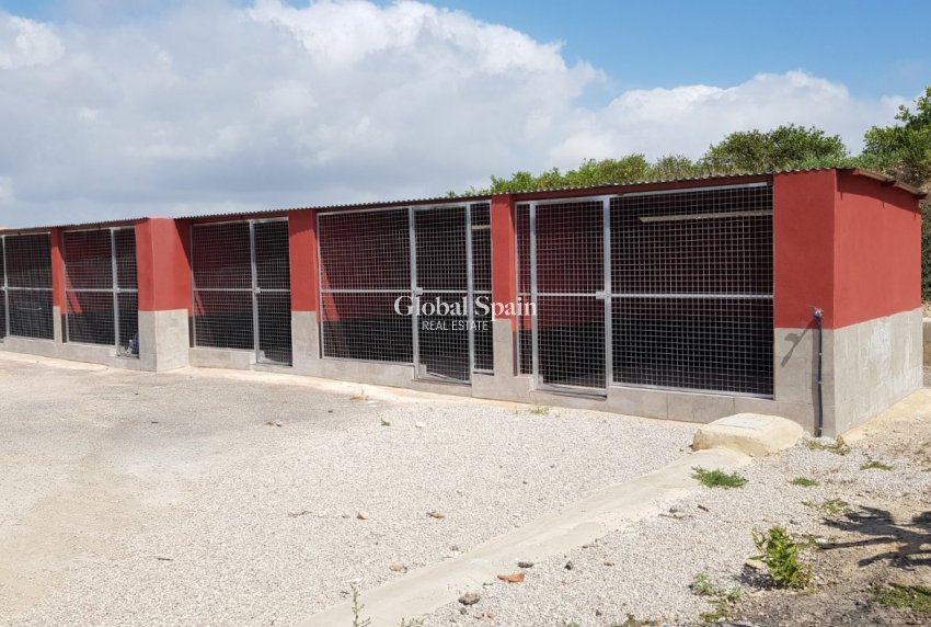 Odsprzedaż - DOM -
LOS MONTESINOS