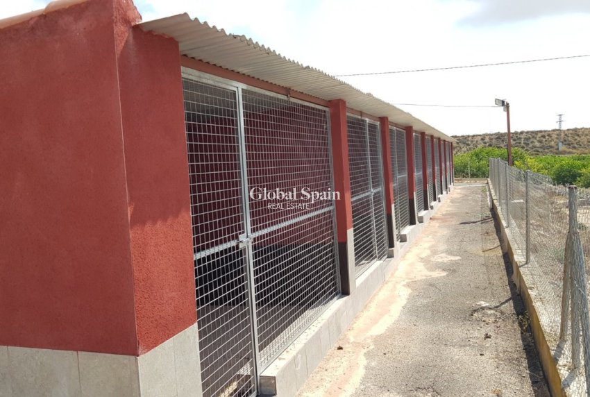 Odsprzedaż - DOM -
LOS MONTESINOS