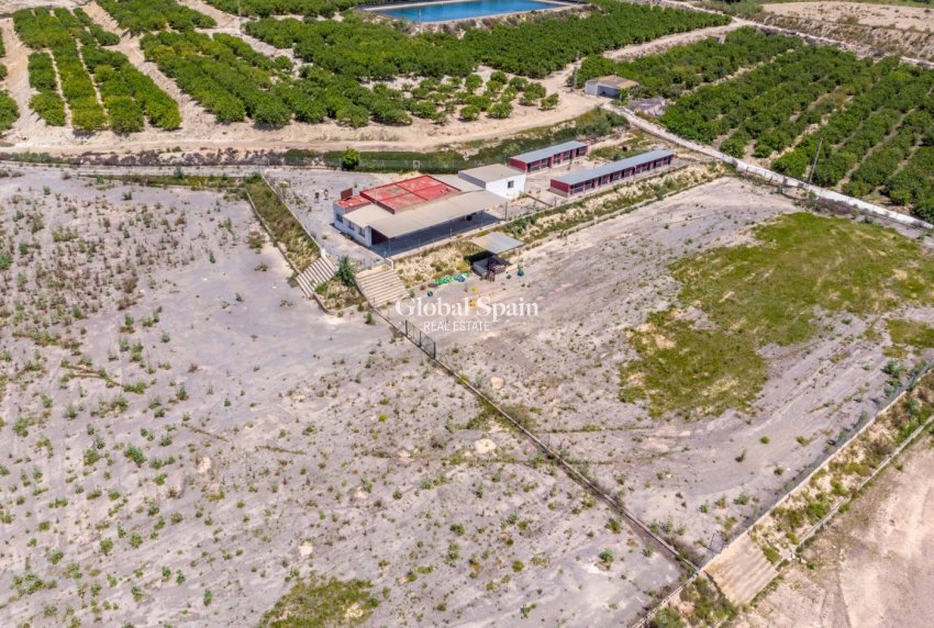 Odsprzedaż - DOM -
LOS MONTESINOS