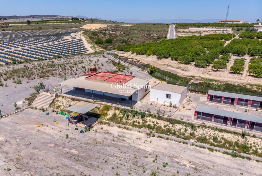 Odsprzedaż - DOM -
LOS MONTESINOS