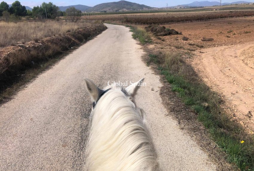 Odsprzedaż - DOM -
MONÓVAR - Inland