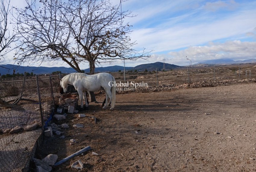Odsprzedaż - DOM -
MONÓVAR - Inland