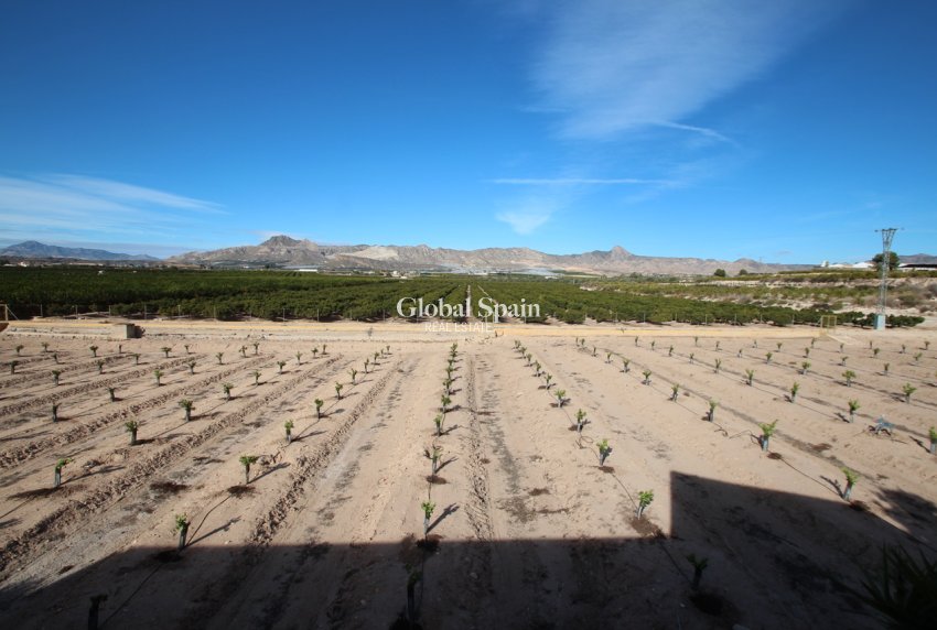 Odsprzedaż - DOM -
MURCIA - Costa Blanca Sur