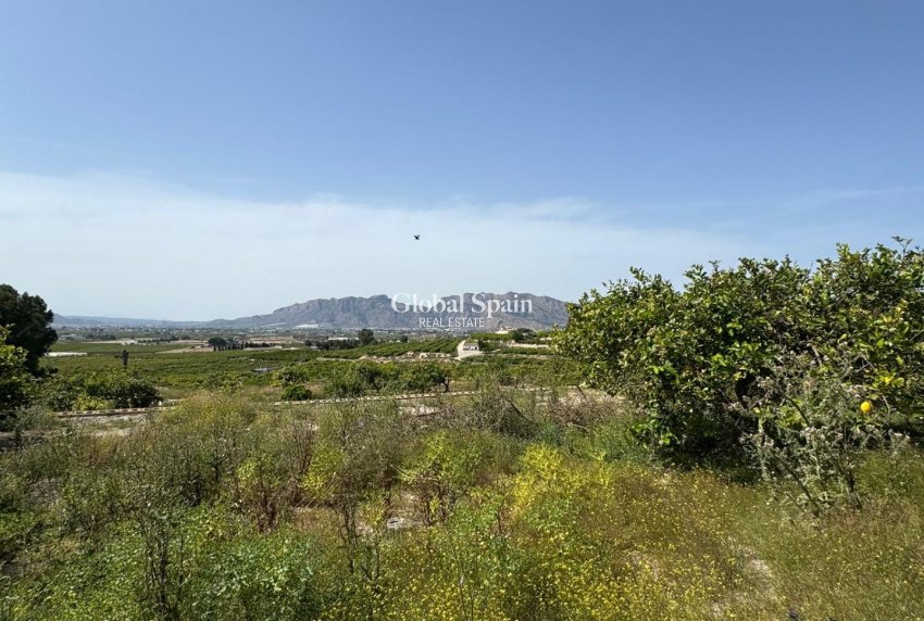 Odsprzedaż - DOM -
ORIHUELA - Arneva