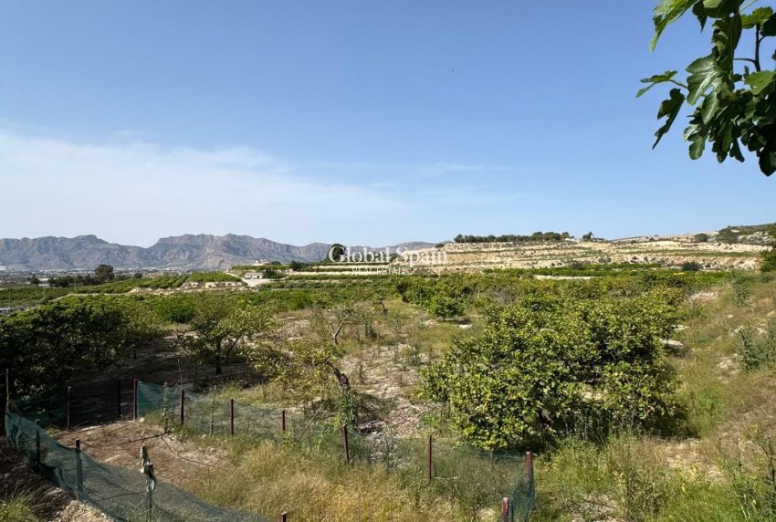 Odsprzedaż - DOM -
ORIHUELA - Arneva