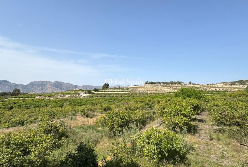 Odsprzedaż - DOM -
ORIHUELA - Arneva
