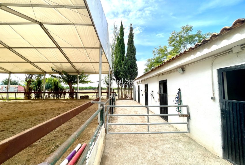 Odsprzedaż - DOM -
ORIHUELA - Inland