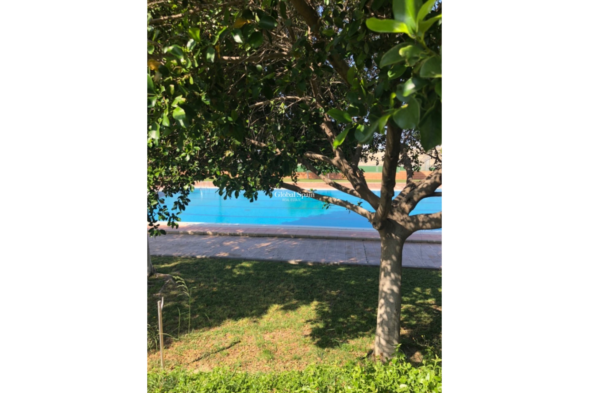 Odsprzedaż - DOM -
SAN MIGUEL DE SALINAS - Costa Blanca Sur