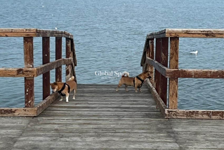 Odsprzedaż - DOM -
SAN PEDRO DEL PINATAR - 