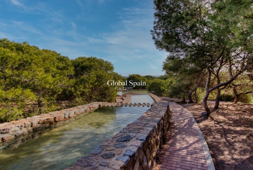 Odsprzedaż - Dom -
TORREVIEJA - Parque de las Naciones