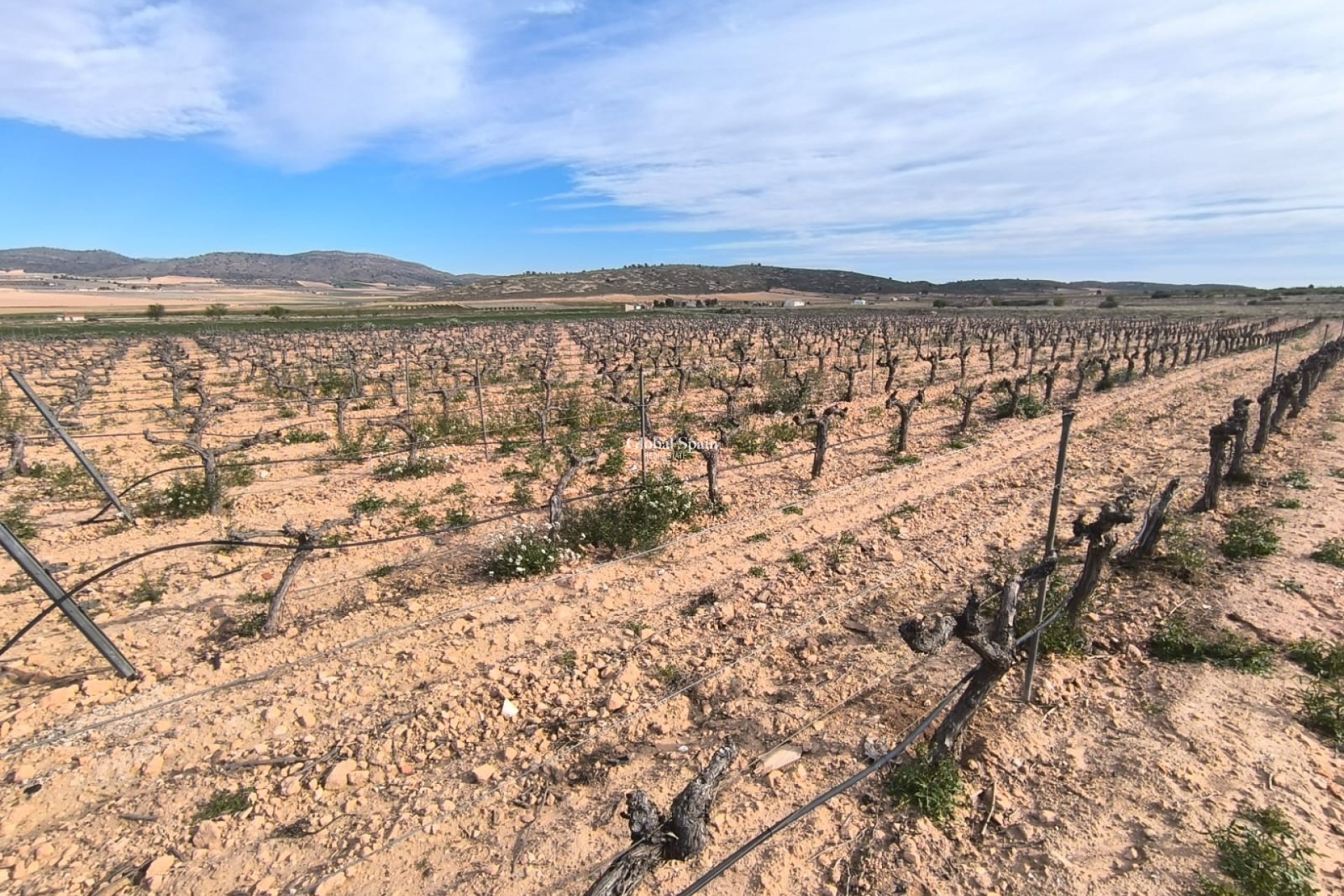 Odsprzedaż - DOM -
YECLA - Inland