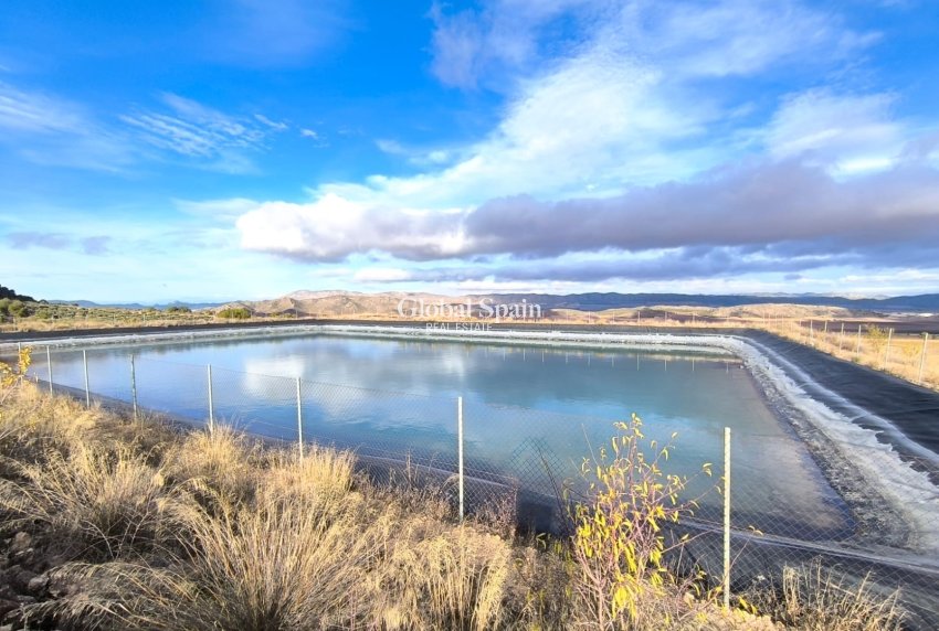 Odsprzedaż - DOM -
YECLA - Inland