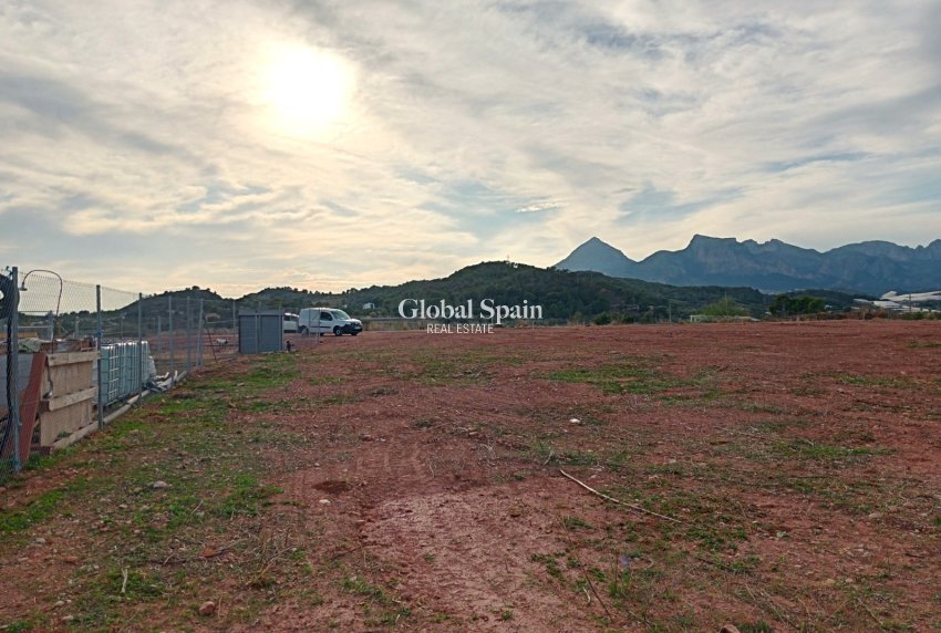 Odsprzedaż - DZIAŁKA GRUNTU -
ALTEA - Olla Altea