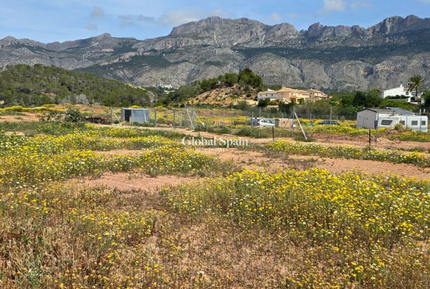 Odsprzedaż - DZIAŁKA GRUNTU -
ALTEA - Olla Altea