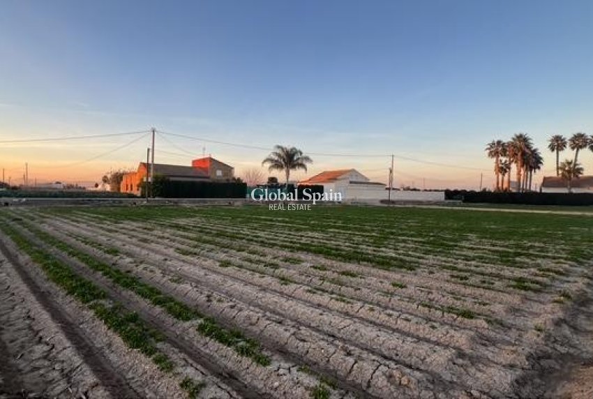 Odsprzedaż - DZIAŁKA GRUNTU -
DOLORES - Comunidad Valenciana