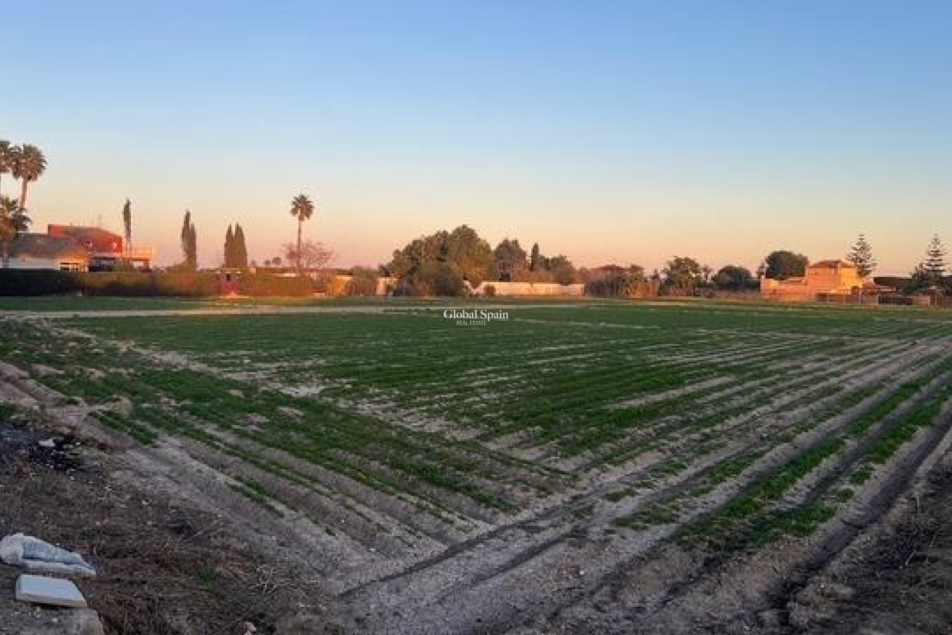 Odsprzedaż - DZIAŁKA GRUNTU -
DOLORES - Comunidad Valenciana