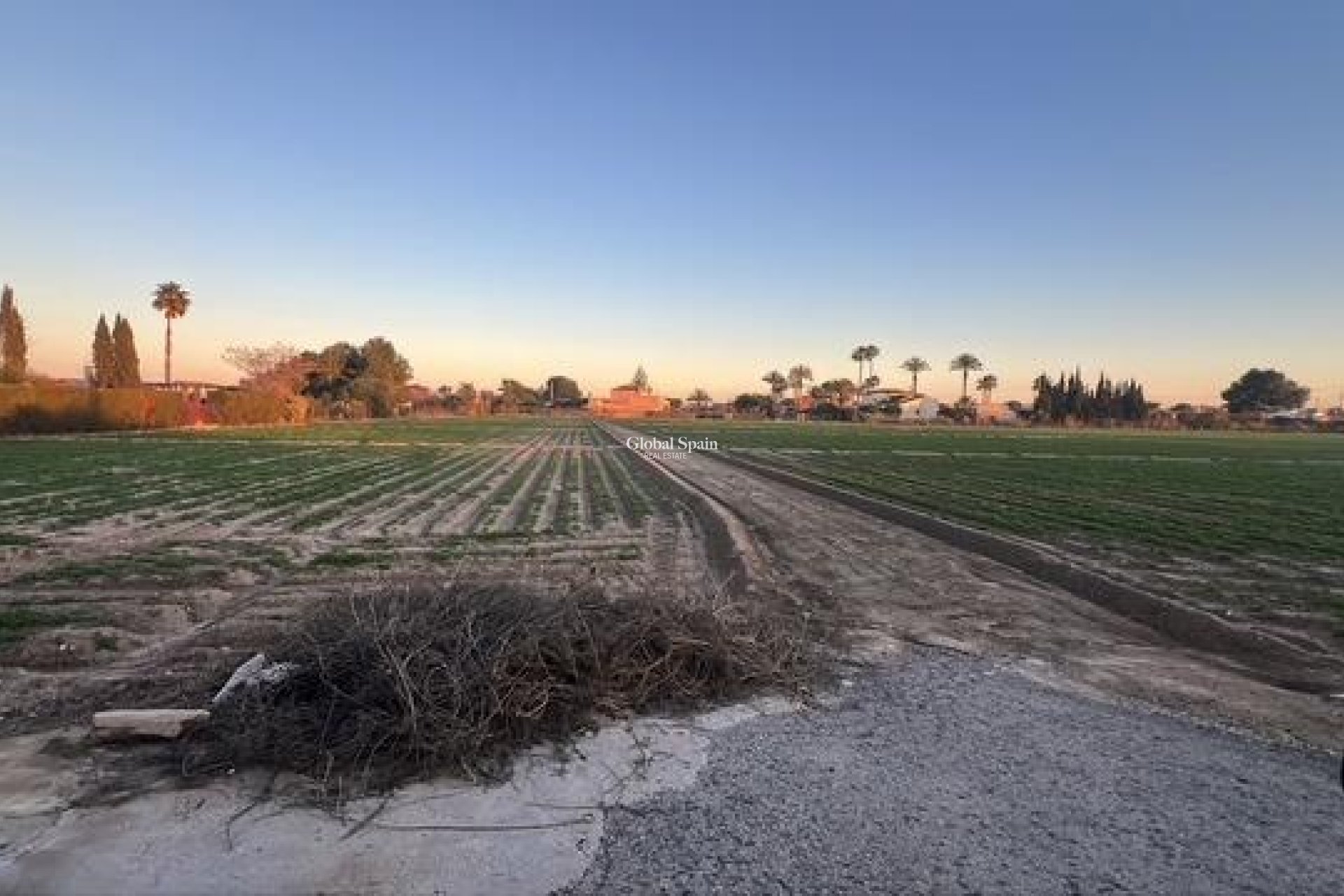 Odsprzedaż - DZIAŁKA GRUNTU -
DOLORES - Comunidad Valenciana