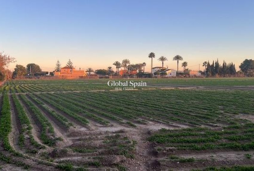 Odsprzedaż - DZIAŁKA GRUNTU -
DOLORES - Comunidad Valenciana