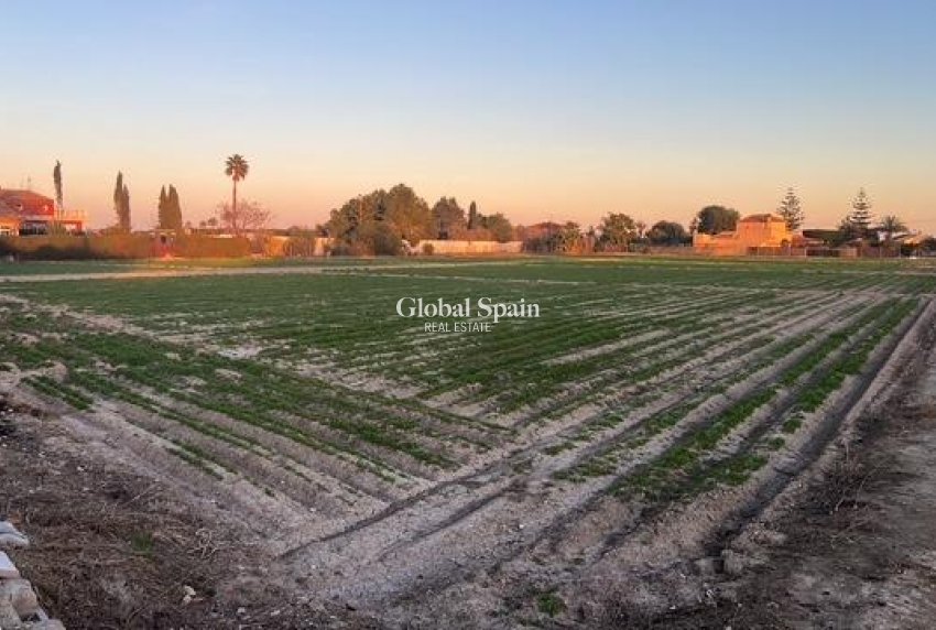 Odsprzedaż - DZIAŁKA GRUNTU -
DOLORES - Comunidad Valenciana