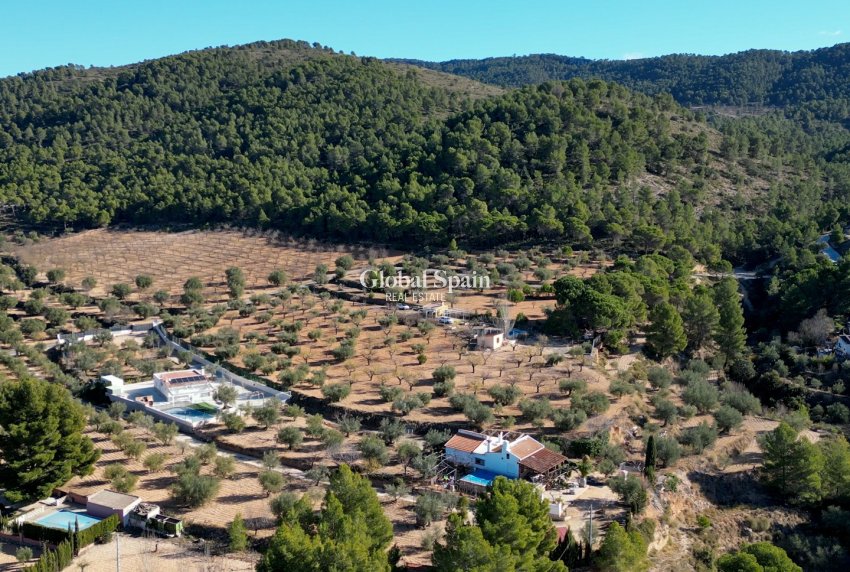 Odsprzedaż - DZIAŁKA GRUNTU -
IBI - Costa Blanca