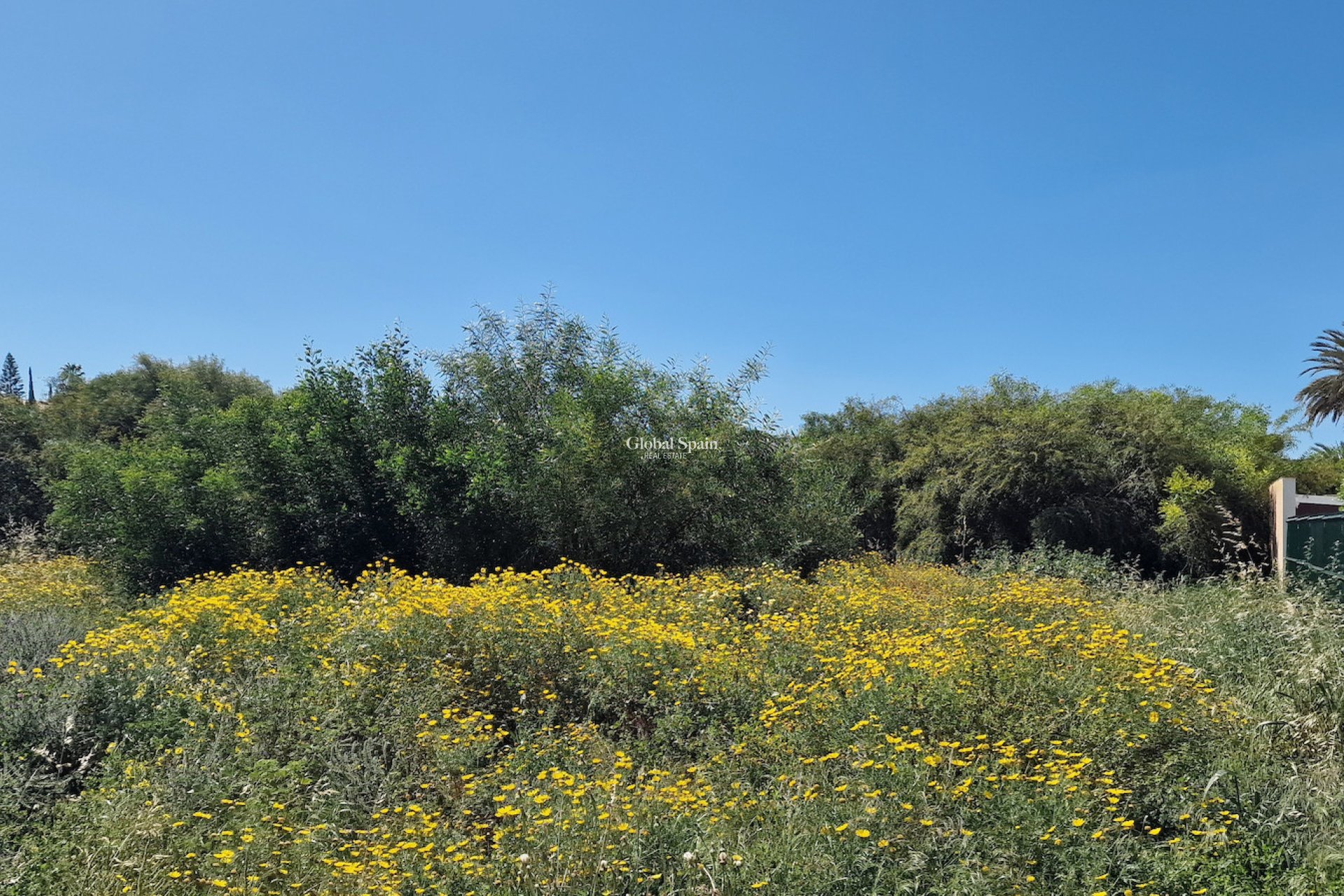 Odsprzedaż - DZIAŁKA GRUNTU -
LOS BALCONES - LOS ALTOS - Costa Blanca