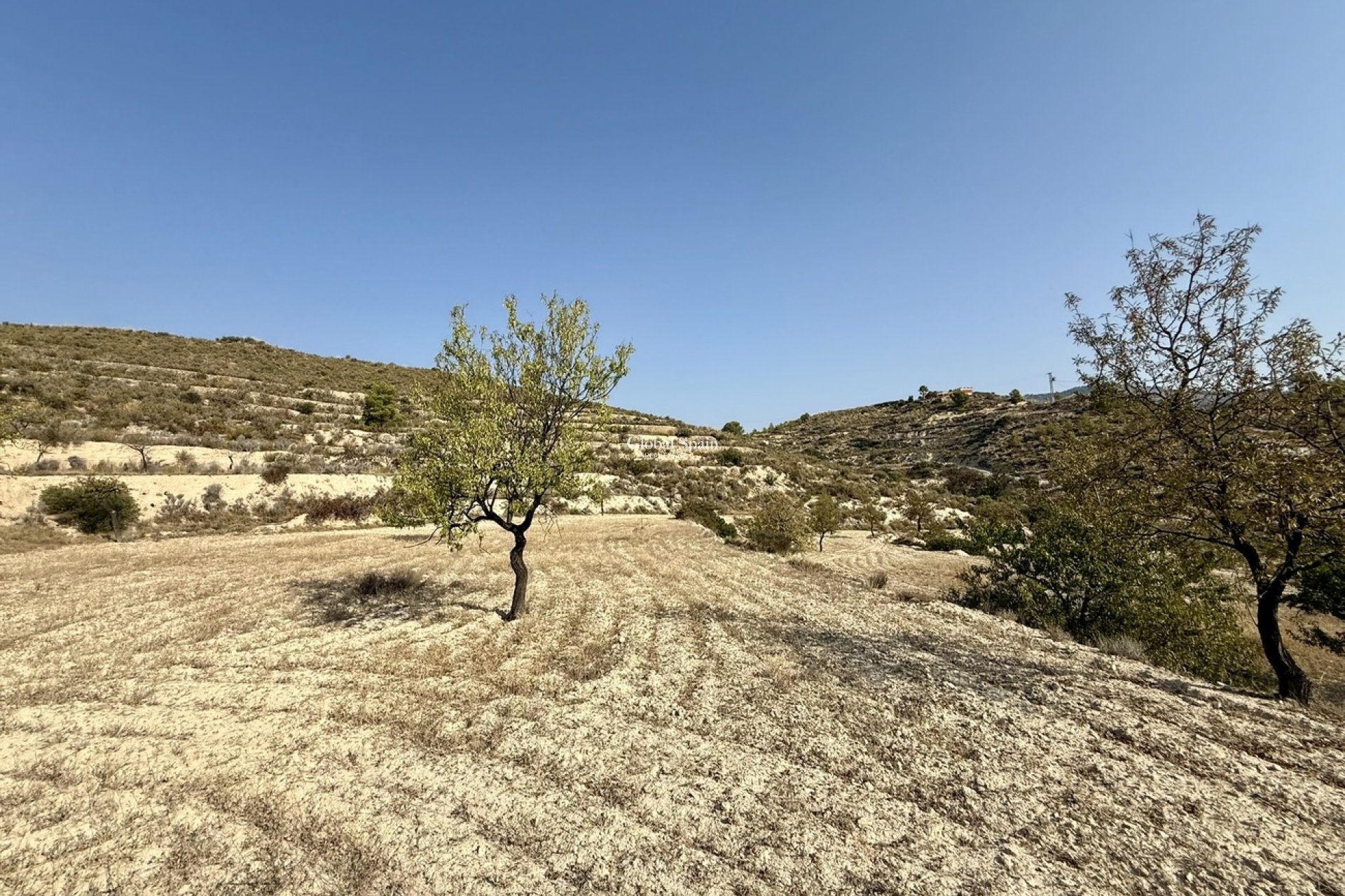 Odsprzedaż - DZIAŁKA GRUNTU -
RELLEU - Costa Blanca