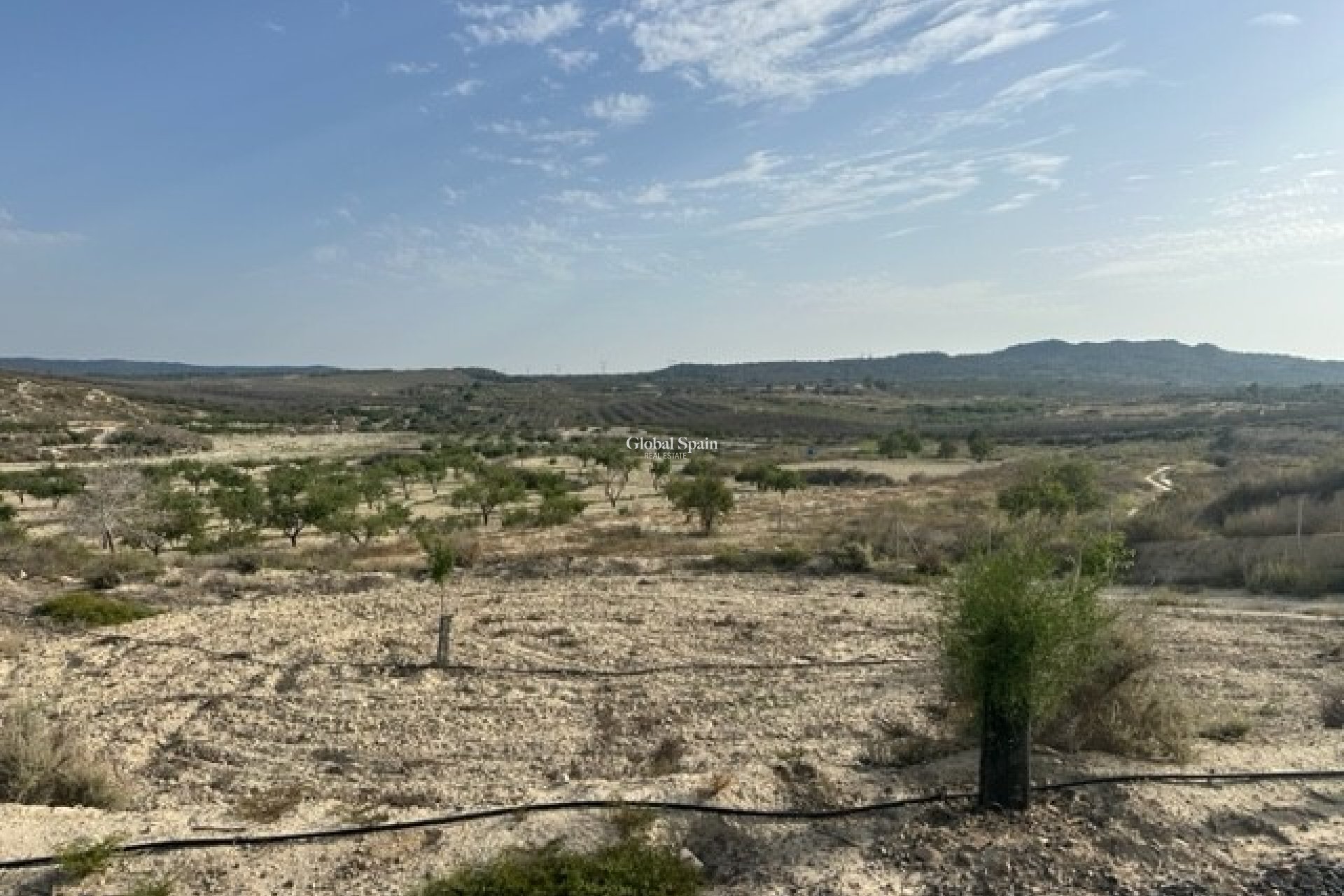 Odsprzedaż - DZIAŁKA GRUNTU -
TORREMENDO - Costa Blanca