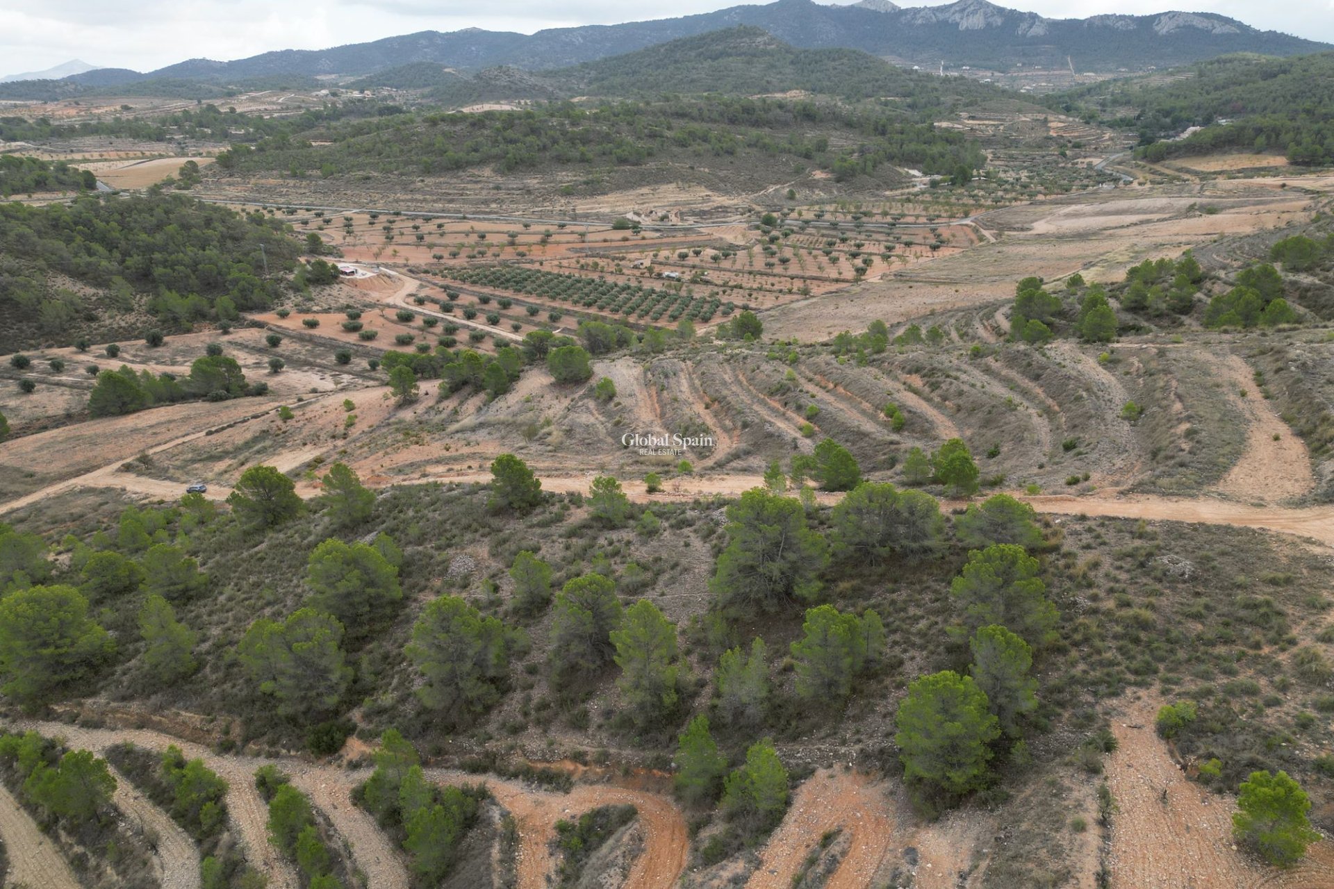 Odsprzedaż - Grunt -
La Zarza