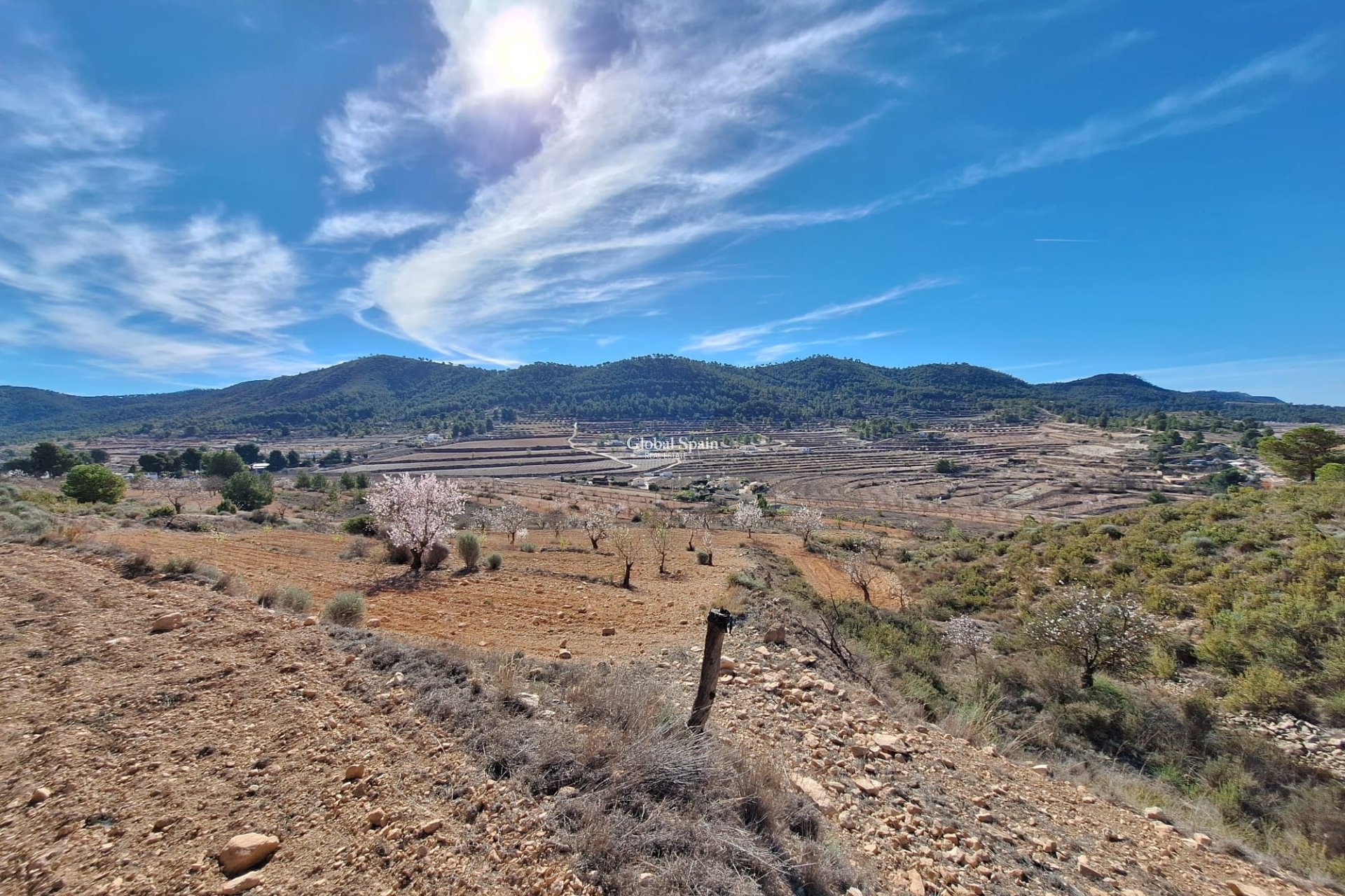 Odsprzedaż - Grunt -
Pinoso