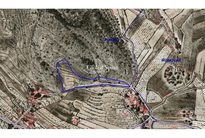 Odsprzedaż - Grunt -
Pinoso