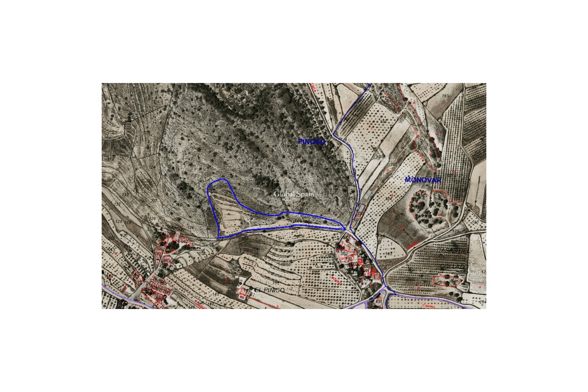 Odsprzedaż - Grunt -
Pinoso