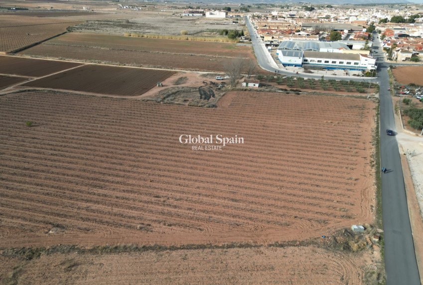 Odsprzedaż - Grunt -
Pinoso