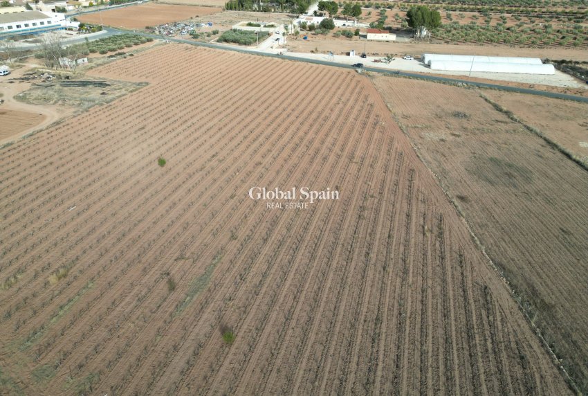 Odsprzedaż - Grunt -
Pinoso