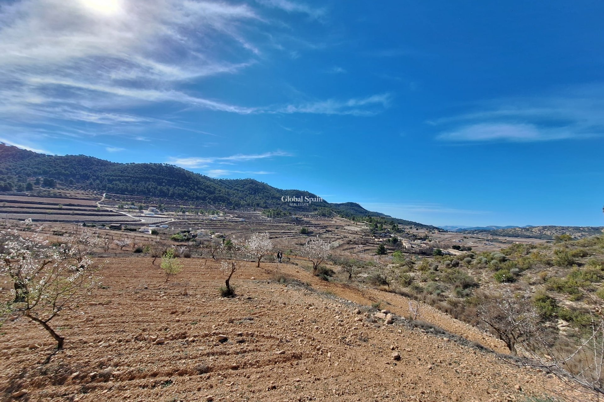 Odsprzedaż - Grunt -
Pinoso