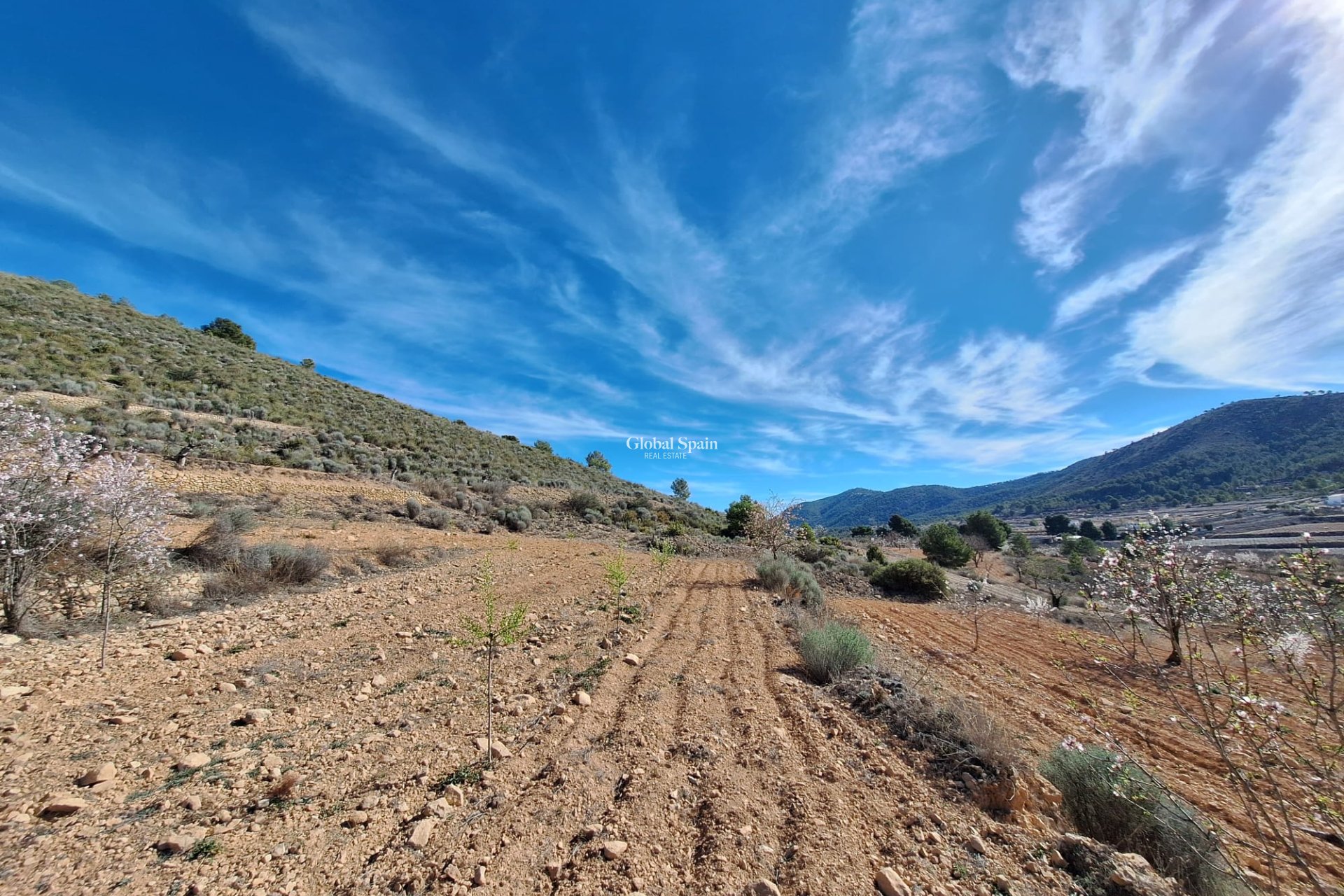 Odsprzedaż - Grunt -
Pinoso