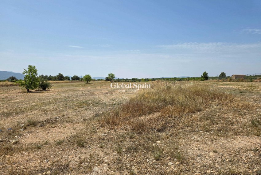 Odsprzedaż - Grunt -
Pinoso