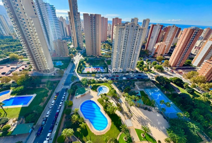 Odsprzedaż - MIESZKANIE -
BENIDORM - Costa Blanca