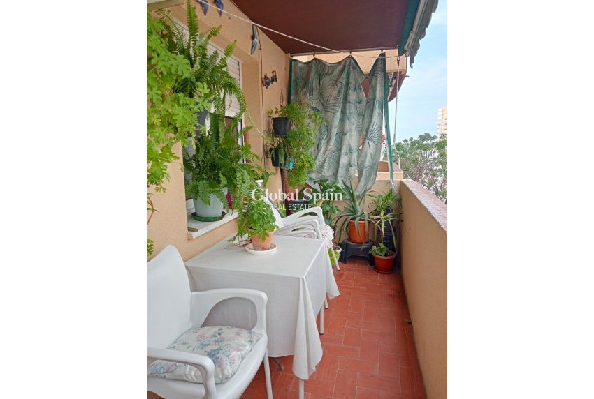 Odsprzedaż - MIESZKANIE -
BENIDORM - Levante