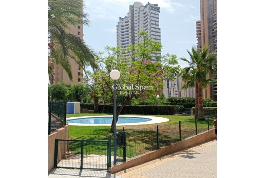 Odsprzedaż - MIESZKANIE -
BENIDORM - Levante